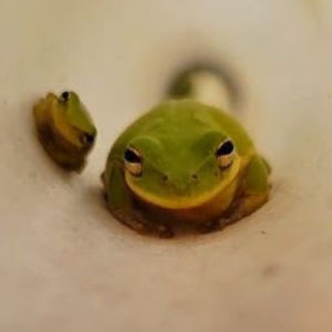 Meet your Posher, Nichole